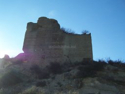 Castillo de Pliego 2009